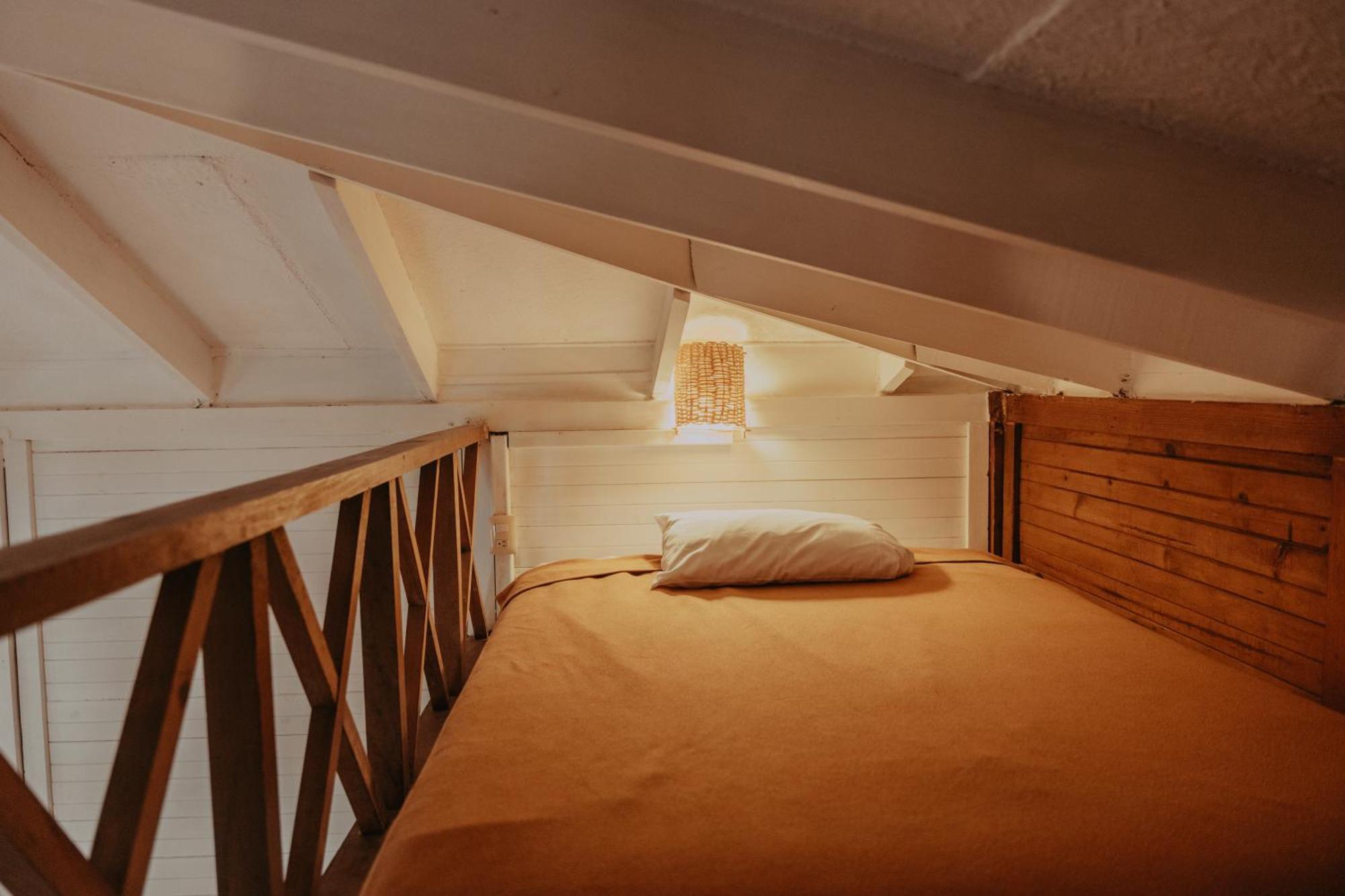 Jungle Experience Bungalow King Bed