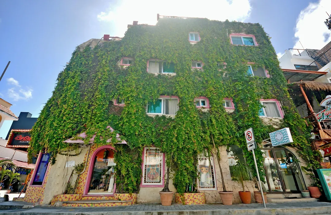 Boutique Hotel Delfin 5Th Avenue-1