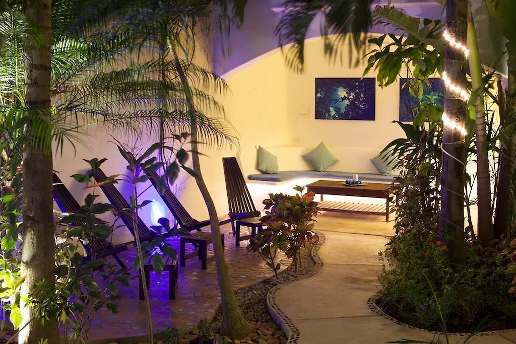Aqualuna Boutique Hotel By Sunrise (Adults Only)-1