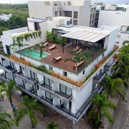 Ah Xok Suites 5A Avenida-2