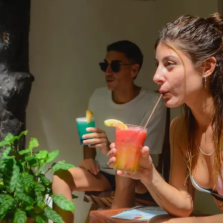 Siesta Fiesta Hotel - 5Th Avenue (Adults Only)-2
