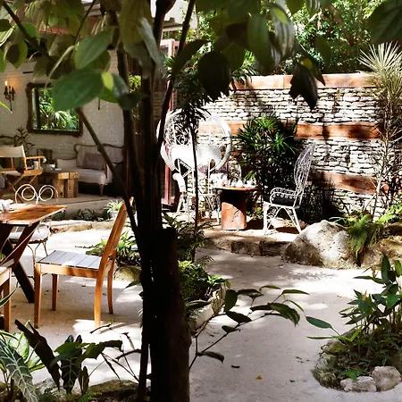 Hotel La Semilla A Member Of Design Hotels (Adults Only)-3