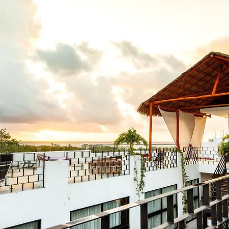 Hotel 52 Playa Del Carmen-2
