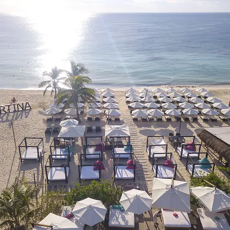 Mar Azul Suites 5Ta Av (Adults Only)-3